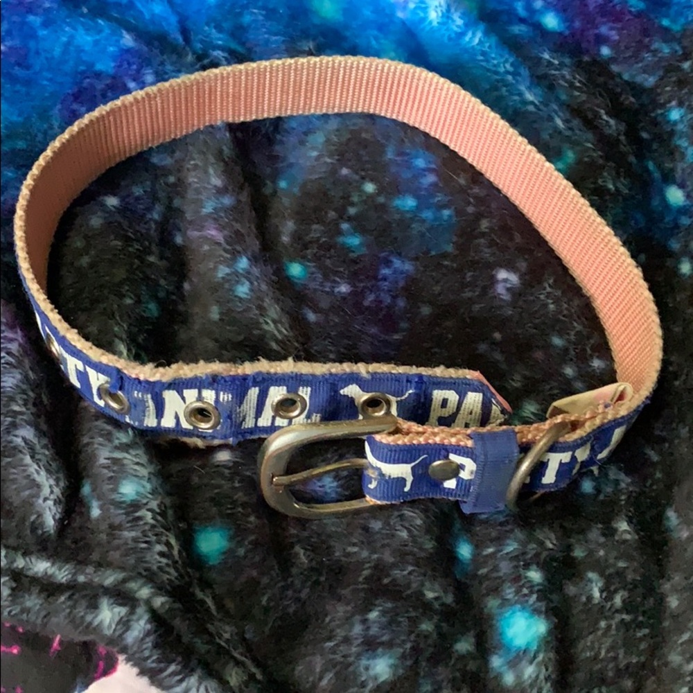 Vs pink party animal dog collar